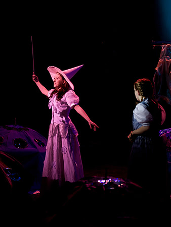 The Wizard of OZ -  53