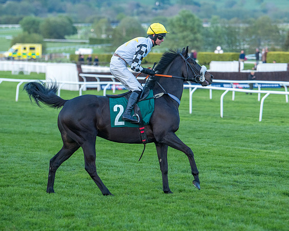 Race 7 - Glos Hussars  (103 of 245)