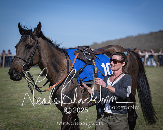 Race 5 - The restricted (5 of 113)