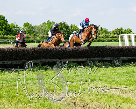 Race 3 - Ladies Open  (72 of 133)