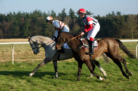 Races 5 - Restricted 20