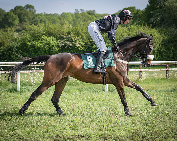 Race 5 - Restricted (45 of 116)