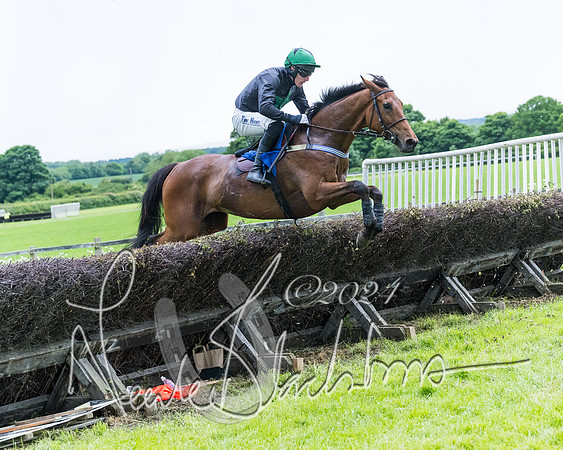 Race 3 - Conditions (245 of 367)