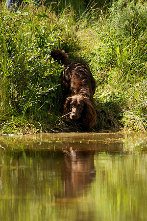 WCGB-04AUG-2013 Water Training Day 187