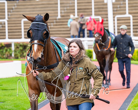 Race 5 - Mares Open  (7 of 129)