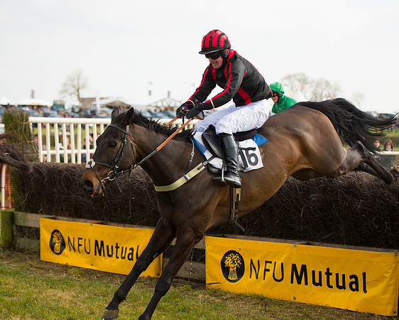 Race 2 - COnfined Hunts race (109 of 144).jpg