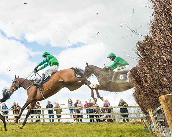 Race 2 - Young Horse Maiden (49 of 104)