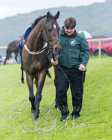 Race 1 - Owner-Trainer Conditions  (27 of 392)