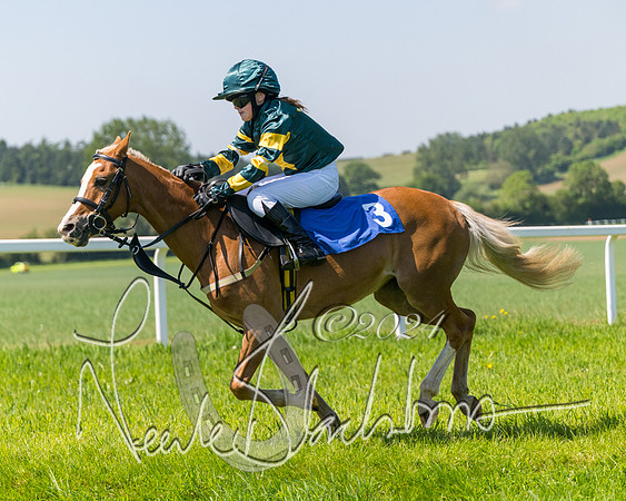 Pony Races  (47 of 141)