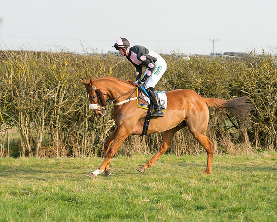 Race 6 - Open Maiden Race (42 of 99).jpg
