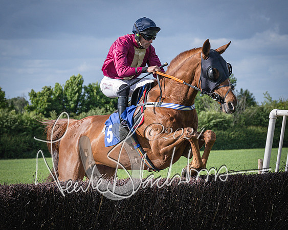 Race 6 - Thorn Plant Hire Maiden Race (45 of 129)