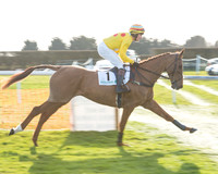 Race 6 - Aga Confined Race (19 of 91).jpg