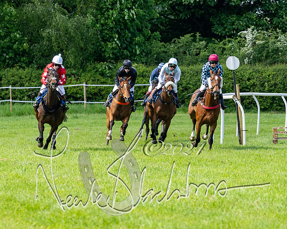 Race 3 - Ladies Open  (84 of 133)