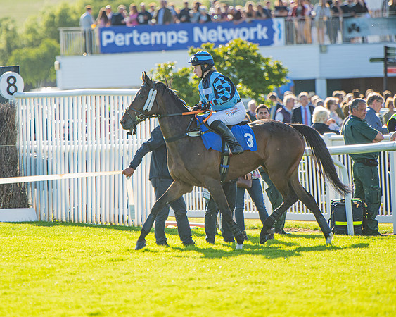 Race 3 - John Corbet Cup (6 of 88)