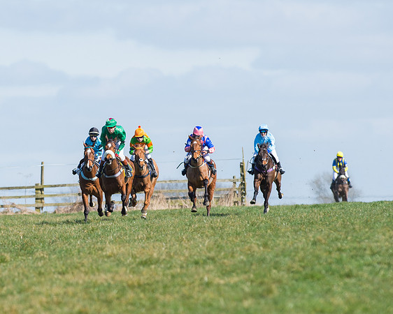 Oakley Ponies (55 of 96).jpg