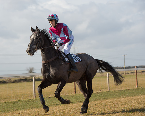 Race 1 - 4-5-6 Maiden (47 of 119).jpg