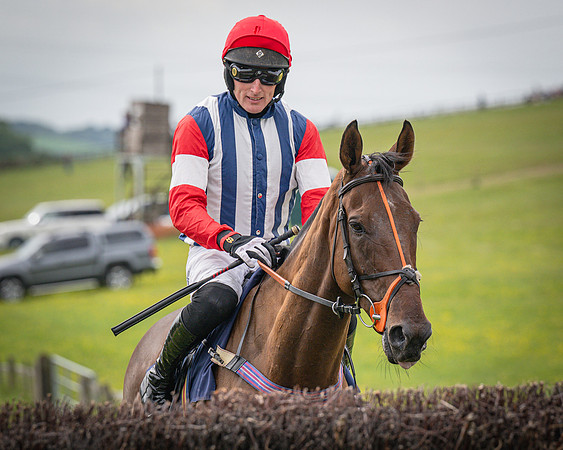 Race 6 - 2M4F Maiden (4 of 85)