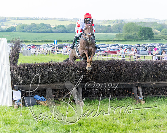 Race 7 - Veteran Horse (49 of 246)