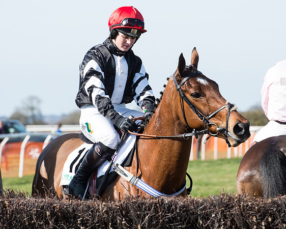 Race 2 - Open Maiden Div 2 (52 of 124).jpg