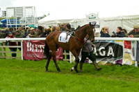 Race 5 - Restriced 5