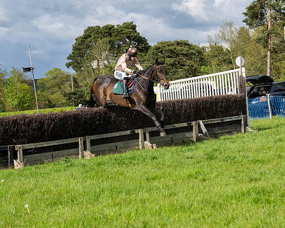 Race 5  - Maiden  (31 of 84)
