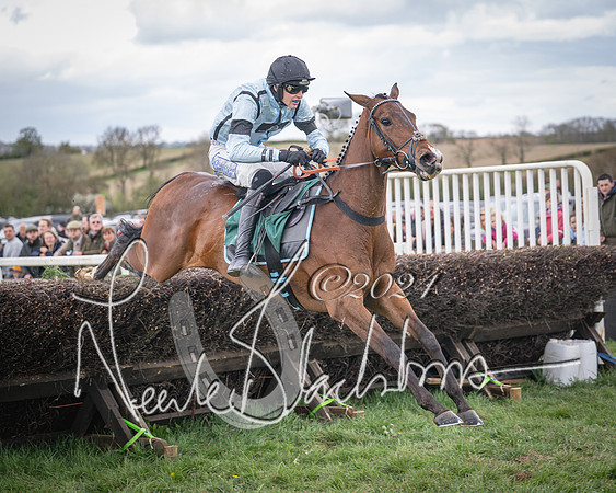 Race 2 - Tattersalls Cheltenham 4 year old Maiden (62 of 85)