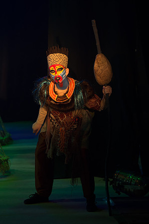 Lion King (68 of 484).jpg