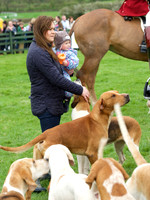 Pytchley - Hounds and friends 13
