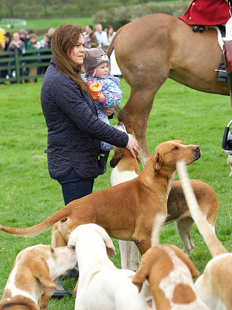 Pytchley - Hounds and friends 13