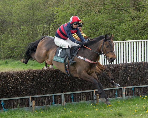 Race 2 - Jockey Club ROR veteran Horse (30 of 104)
