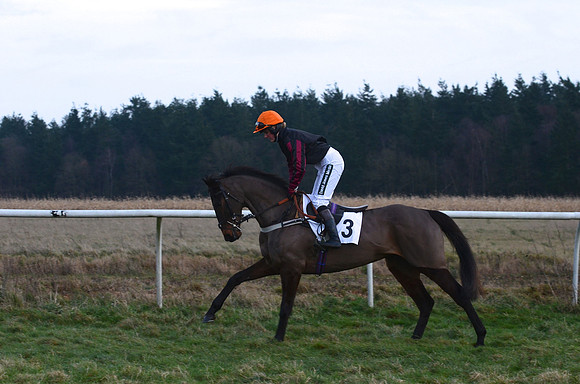 Novice Riders 25