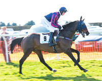 Race 2 - Open Maiden Div 2 (4 of 124).jpg