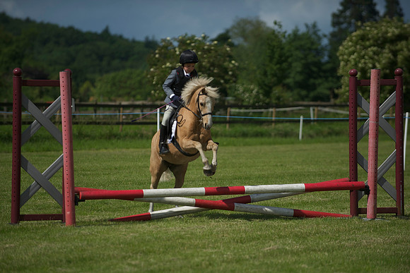 SOHS PC Summer Show at BCA 17th June 2012