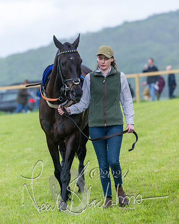 Race 1 - Owner-Trainer Conditions  (10 of 392)