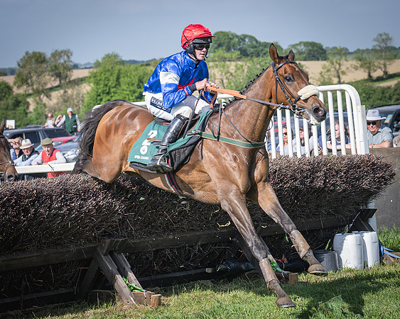 Race 5 - Restricted (83 of 116)