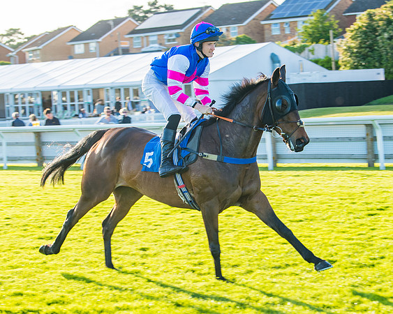 Race 5 - White Swan Hotel Handicap (13 of 80)
