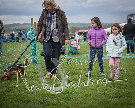 Bicester - Dog Show (96 of 106)