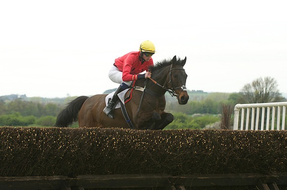 Kimblewick Hunts Point to Point at Kingston Blount Racecourse on Saturday 12th April 2014 Race 1 Confined Hunts Race.