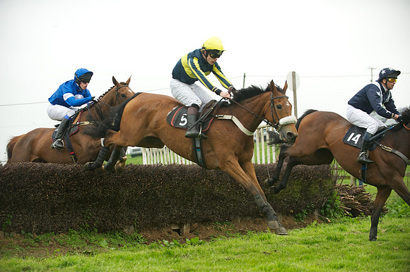 Race 2 - Novices 40