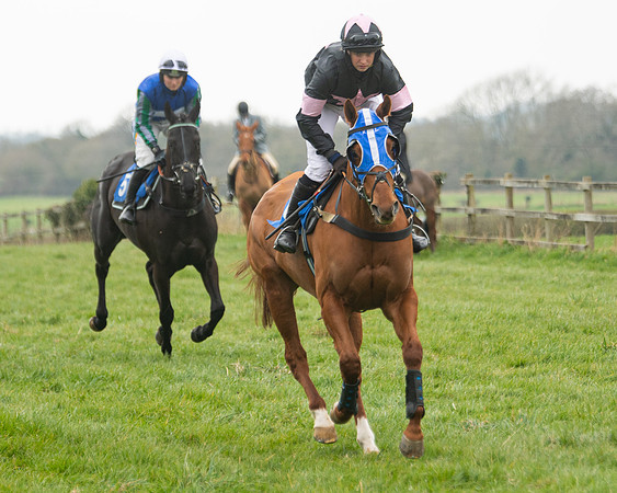 Race 3 - Open maiden  (25 of 273)