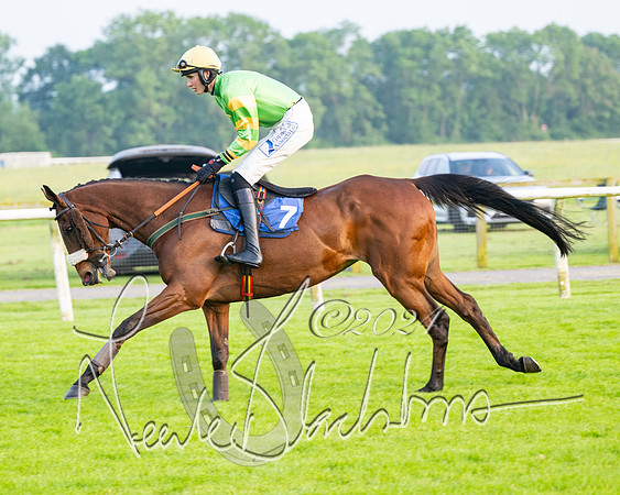 Race 5 - Peter Wright Handicap (14 of 117)