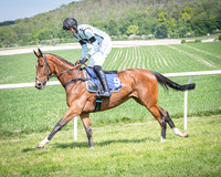 Race 2 The Highwayman Inn Restricted Race (16 of 144)