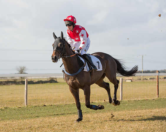Race 1 - 4-5-6 Maiden (53 of 119).jpg