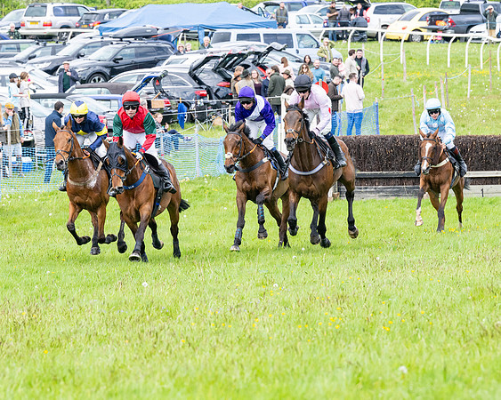 Race 2 - Veteran Horse (9 of 80)