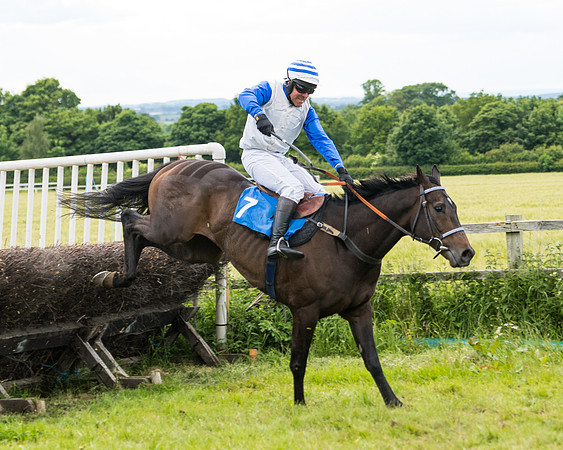 Race 5 - Restricted  (92 of 136)