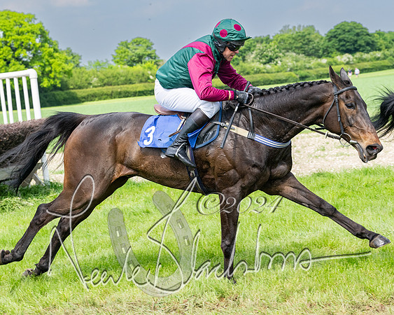 Race 2 - Restricted  (237 of 308)