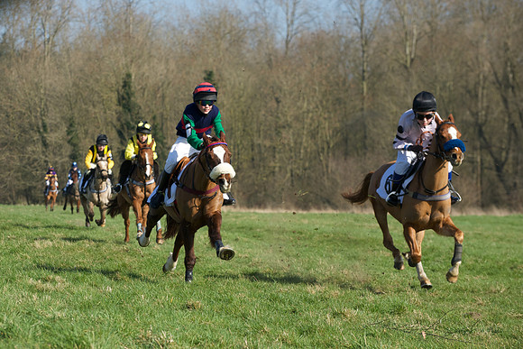 Pony Races -  24