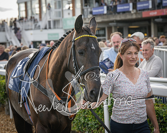 Race 3 - The pointtopoint.co.uk champion novices’ Hunter Chase (16 of 140)