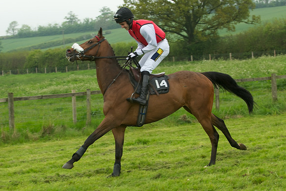 Race 5 - Restricted 25