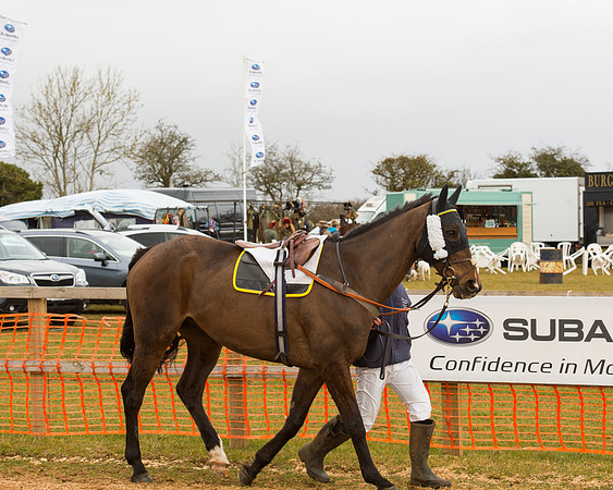Race 3 - Mens Open (4 of 79).jpg